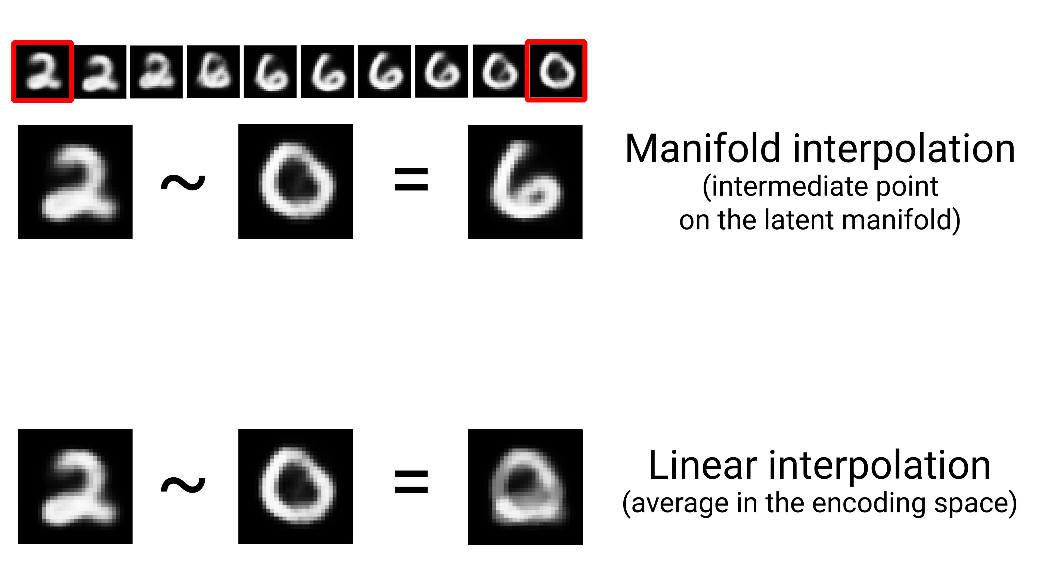 Manifold and Linear Interpolation